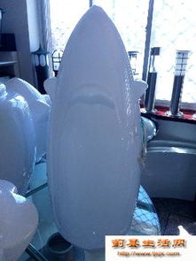 點(diǎn)亮生活，從專業(yè)路燈批發(fā)到安心食品零售——一站式采購(gòu)新體驗(yàn)