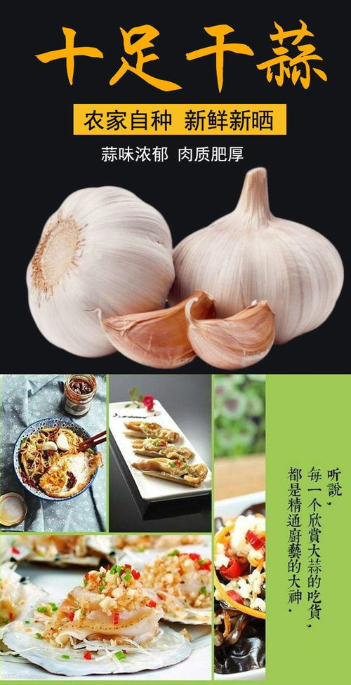 山東優質大蒜 從新鮮到干蒜，一站式蔬菜批發優選