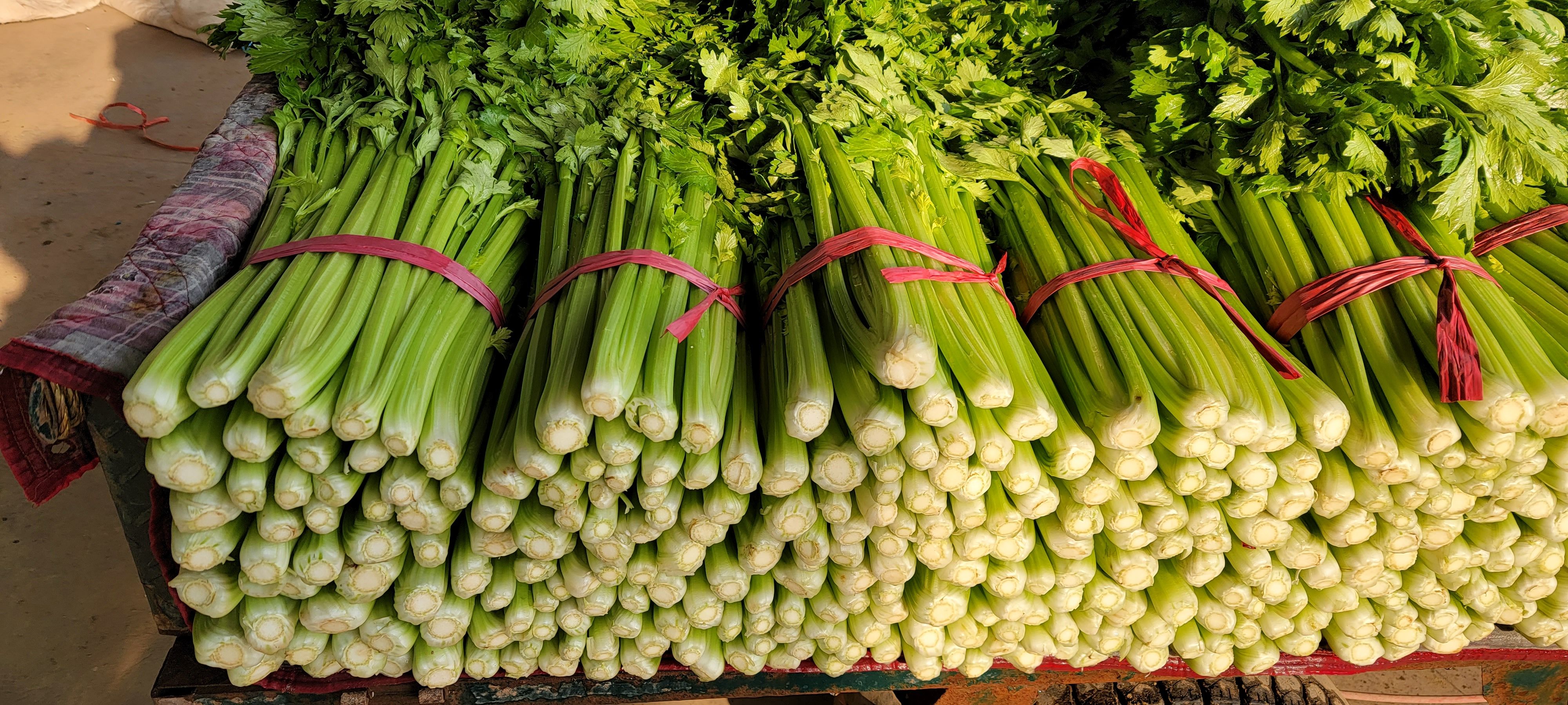 芹菜批發(fā)市場(chǎng)動(dòng)態(tài) 高品質(zhì)新鮮蔬菜的供需解析