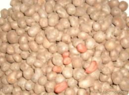 菏澤新鮮蔬菜批發(fā) 源頭把控品質(zhì)，保障低價(jià)貨源穩(wěn)定供應(yīng)