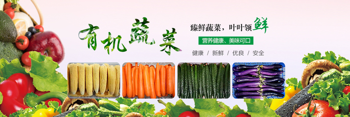 從田間到餐桌 新會(huì)蔬菜配送助力新鮮供應(yīng)全面發(fā)展