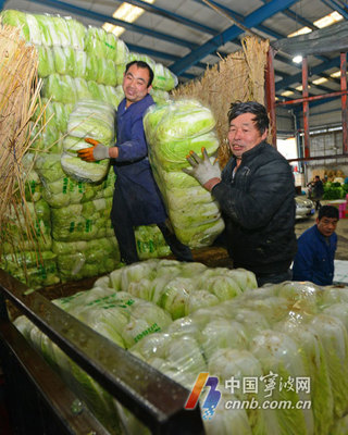 寧波蔬菜批發(fā)市場(chǎng)貨足價(jià)穩(wěn) 新鮮蔬菜批發(fā)井然有序