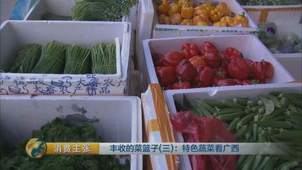 探秘廣西 百斤冬瓜、西瓜樣木瓜，這些特色蔬菜你嘗過(guò)嗎？
