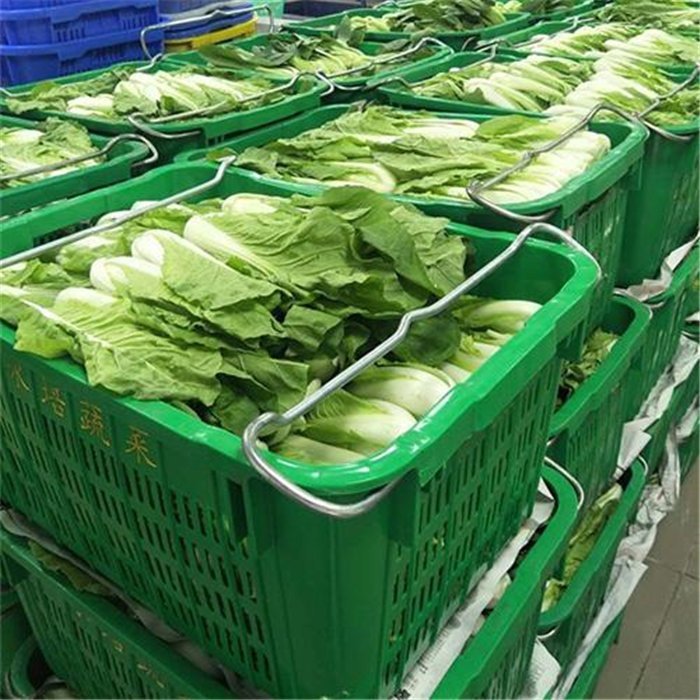 觀瀾蔬菜配送 新鮮直達(dá)，健康餐桌的堅(jiān)實(shí)后盾